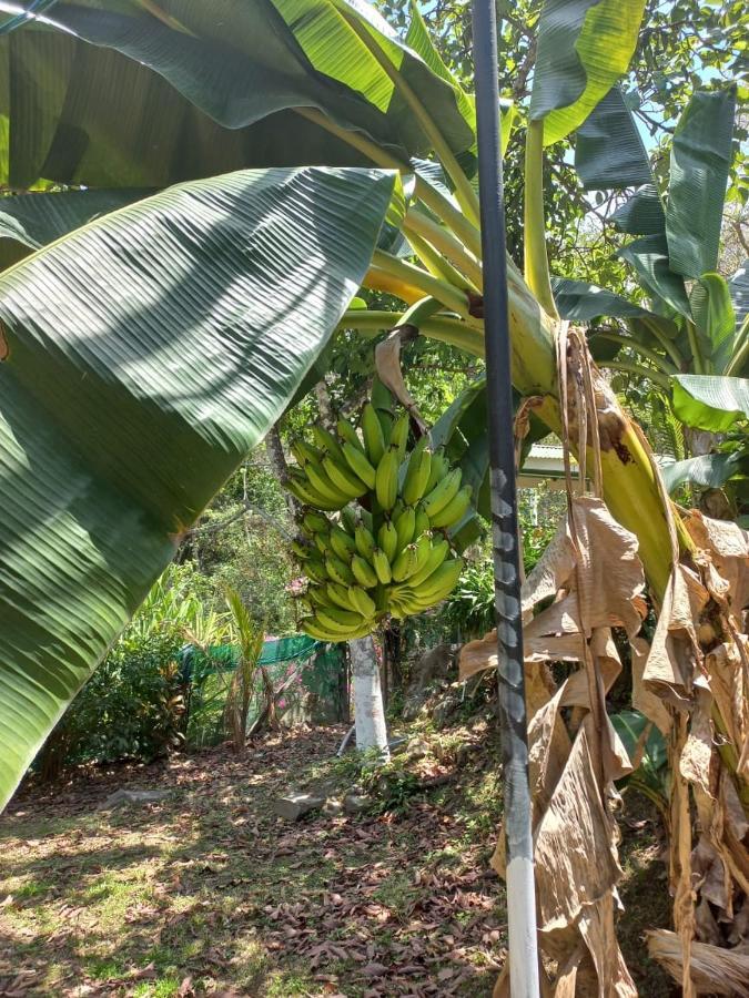 Donde Familia Manito Acomodação com café da manhã Paquera Exterior foto