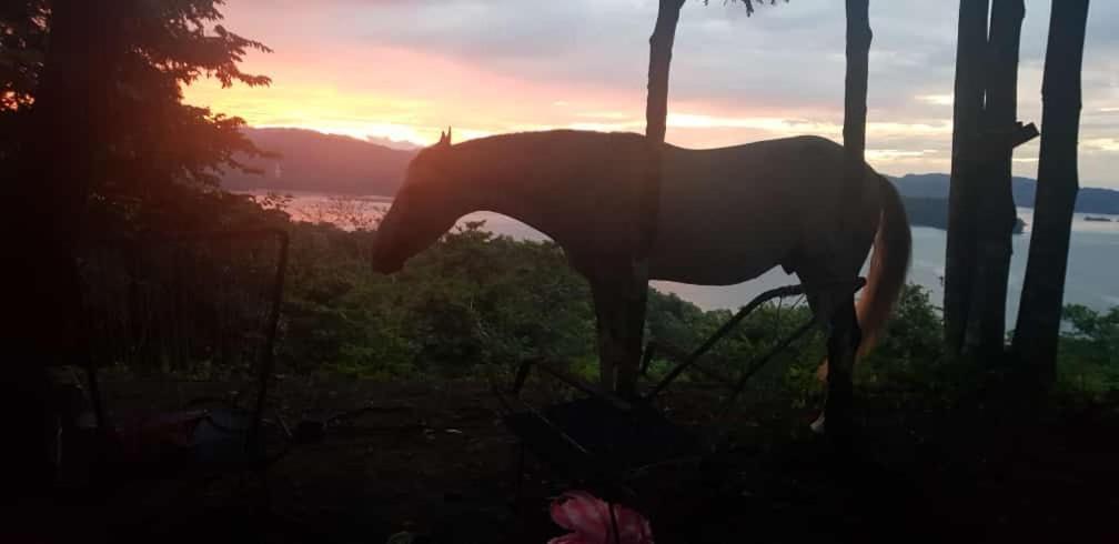Donde Familia Manito Acomodação com café da manhã Paquera Exterior foto